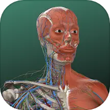 万康人体解剖:一款专业的人体解剖学软件